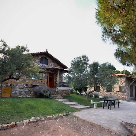 Villa Kladi House Renovated 2023 à Nikiti  Extérieur photo