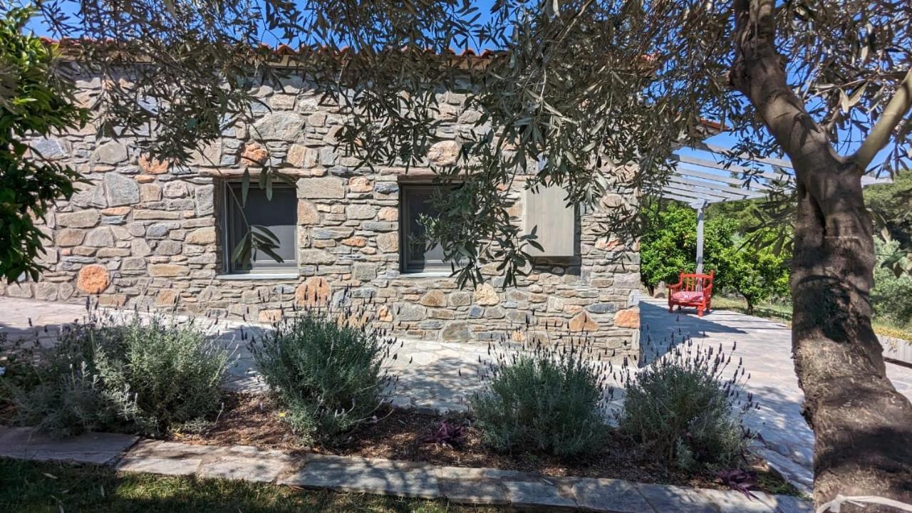 Villa Kladi House Renovated 2023 à Nikiti  Extérieur photo