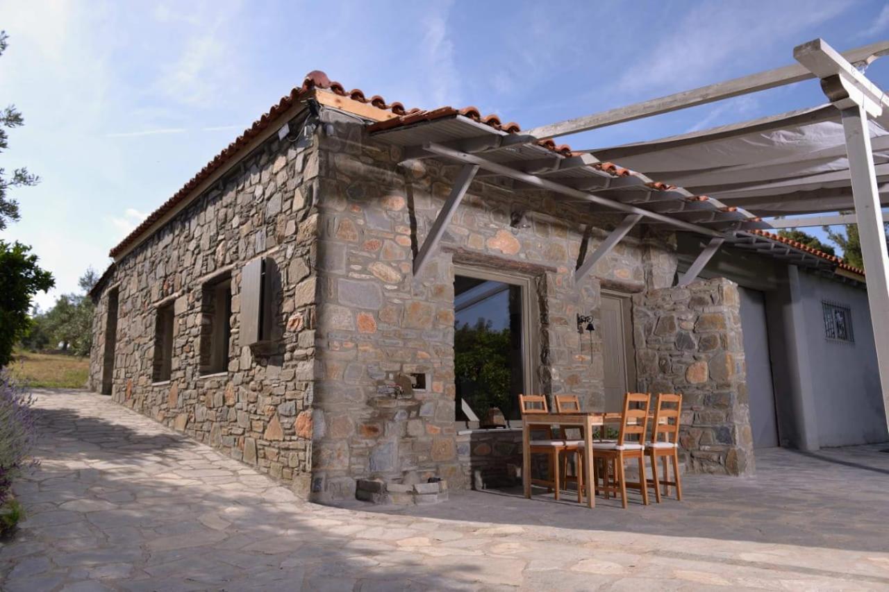 Villa Kladi House Renovated 2023 à Nikiti  Extérieur photo