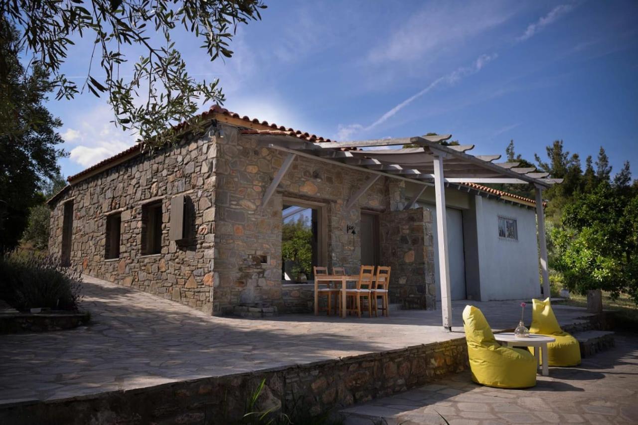 Villa Kladi House Renovated 2023 à Nikiti  Extérieur photo