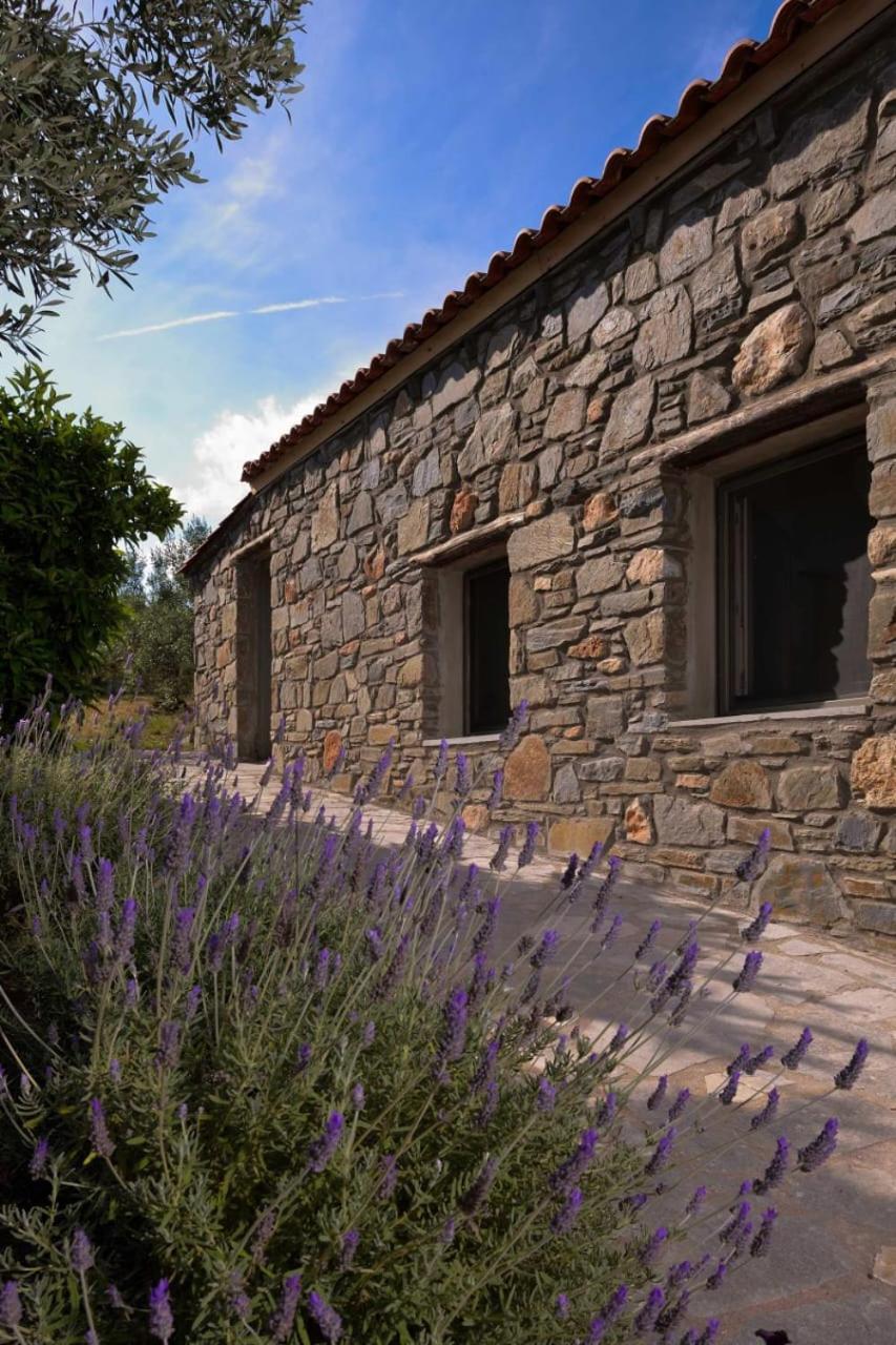 Villa Kladi House Renovated 2023 à Nikiti  Extérieur photo